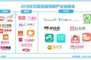 母婴综合电商(母婴店进货电商平台)