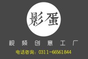logo宣传视频制作(logo视频制作软件)