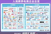 国内电商平台(国内电商平台排行榜前十名)