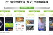 网络视频营销形式(网络视频营销的优缺点)