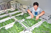 民生电商
:农副产品如何走向电商市场？