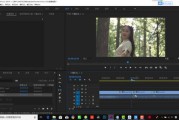 个人视频制作(个人视频制作发票属于什么类别)