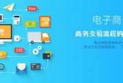 有几个电商网站(电商分为几个模块)
