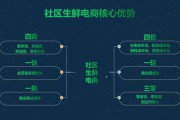 社区电商(社区电商行业分析报告)