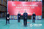 义乌电商(义乌电商基地)