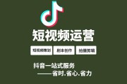 视频营销方式(视频营销的具体方式)