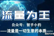 引流是什么意思(引流是什么意思)