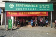 电商农产品上行(电商农产品上行计划书)
