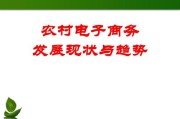 怎样申请农村电商(如何申请农村电商三级物流)