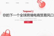 跨境电商平台app(shein跨境电商平台app)