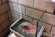 玻璃鱼缸制作方法视频教程(玻璃鱼缸的制作方法)