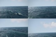海浪短视频(海浪短视频唯美)