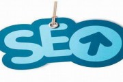 seo学习(新手做seo怎么做)