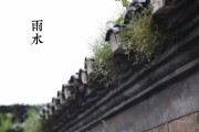 今日雨水(今日雨水时间)