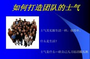 如何打造团队(如何打造团队的创新力)