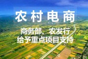 农村电商平台(想在农村开个电商怎么做)