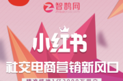 小红书营销推广的方式(小红书营销推广案例分析)