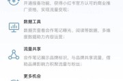 小红书的广告投放(小红书的广告投放技巧)