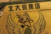 北大荒宣传视频(电视剧北大荒全集)
