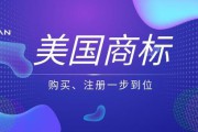 亚马逊电商怎么做(亚马逊电商怎么做新手)