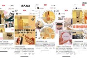 小红书达人推广方案(小红书达人kol推广)