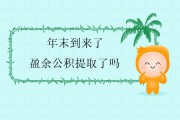盈余公积是什么意思(资本公积是什么意思)