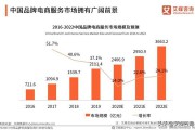 电商服务数据
:中国品牌电商服务商行业发展现状如何？