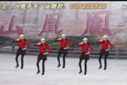 广场舞视频制作软件(广场舞视频制作背景图)