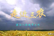 中垦电商
:电商与农业经济会擦出怎样的火花？