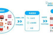 私域电商是什么意思(私域电商是什么模式)