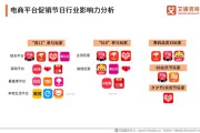 中国十大电商平台(中国电子商务平台)
