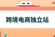 跨境电商如何做(跨境电商如何做起来)