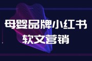小红书营销策划公司(小红书营销策划论文)