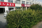 铁蛋壳电商平台
:说说你的经历，开实体店被电商冲击，还扛得住吗，准备怎么解决？