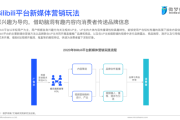 小红书广告营销策略(小红书4p营销策略)