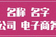 电商平台名称(电商平台取名)