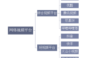 视频网络营销(网络视频营销)