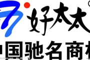 好太太广告视频(好太太板材广告图片)