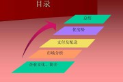电商案例分析ppt(电商案例分析的主要内容)