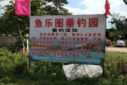 鱼乐电商(乐鱼跨境电商)