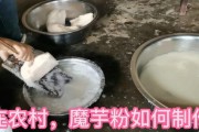 魔芋制作方法视频教程(魔芋做法视频教程)