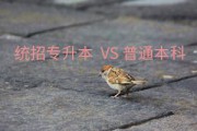 什么是统招(什么是统招和非统招)