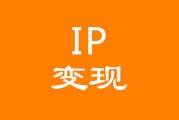 个人ip是什么意思(个人ip形象是什么意思)