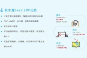 电商saas(电商saas系统是什么)