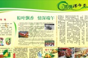 端午节活动宣传视频(端午节活动宣传文案)
