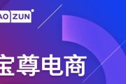 宝尊电商电商排名(第一秒电商跟宝尊电商)
