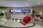 易电商(苏州极易电商)