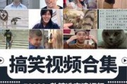 搞笑短视频大全15秒(搞笑视频 爆笑15秒)