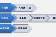 自营电商(知乎如何试水自营电商)
