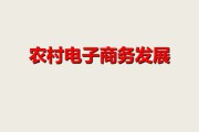 农村电商平台有哪些(农村电商的平台有哪些)